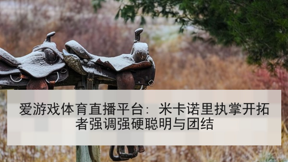 爱游戏体育直播平台: 米卡诺里执掌开拓者强调强硬聪明与团结 爱游戏体育直播平台: 米卡诺里执掌开拓者强调强硬聪明与团结